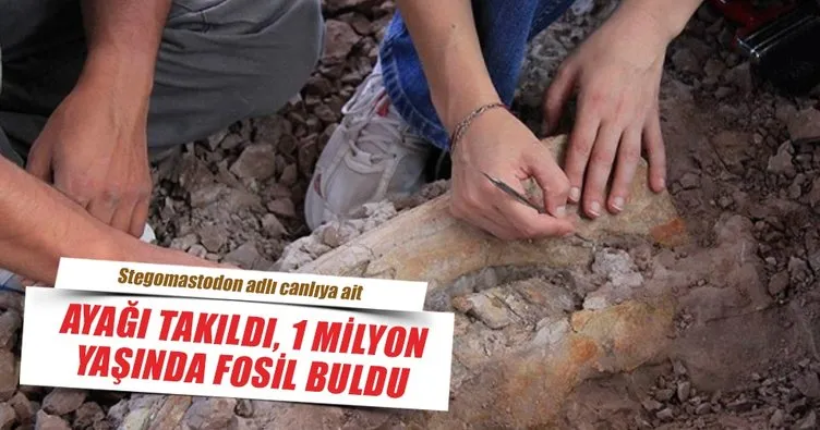 Ayağı takıldı, 1 milyon yaşında fosil buldu