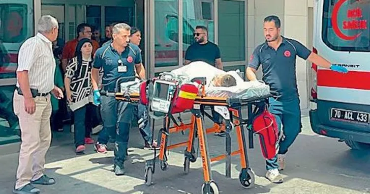 Sahipli köpek dehşeti