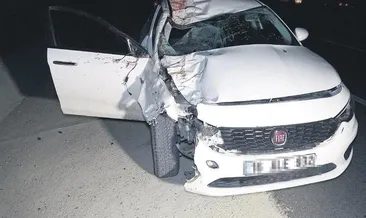 Kaçan 6 Arap tayı kazada telef oldu