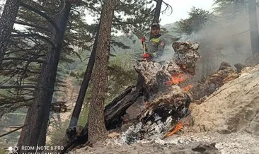 İşte kahramanlar! Yangını söndürme çalışmalarında yaralanan CEKUT ekibi yeşil vatan için göreve devam dedi