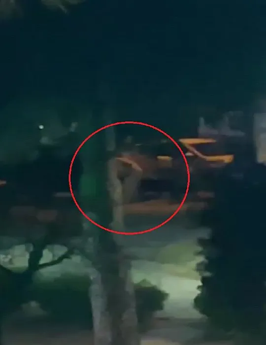 Ortağını 7 kurşunla öldüren Ertuğrul Erdoğan’ın karar duruşmasındaki ifadesi şoke etti: Hatırlamıyorum dedi ve…