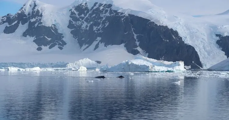 Antarktika’da buzul kaybında büyük artış