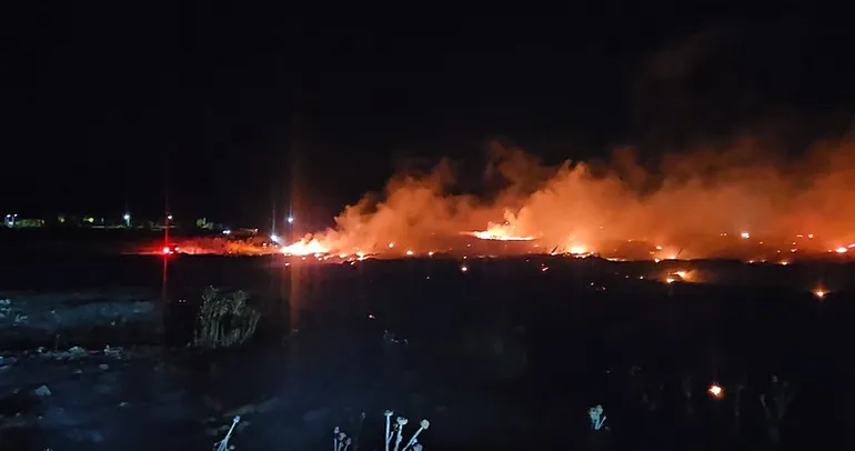 Burhaniye’de örtü yangını!