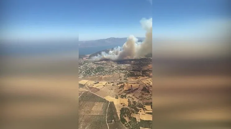 Aydın’da orman yangını çıktı