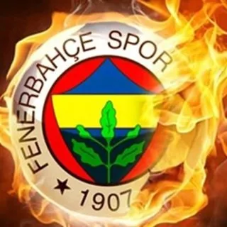 'Fenerbahçeli birçok futbolcu takımdan ayrılmak istiyor'