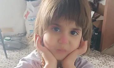 Bitlis’te 5 yaşındaki Rabia kayboldu: Her yerde aranıyor! #bitlis