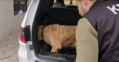 Sınır kapısında rekor uyuşturucu ele geçirildi #hakkari