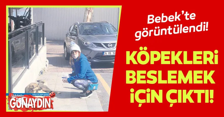 Köpekleri beslemek için çıktı