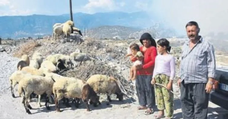 Demre’nin sorunu sera atıkları