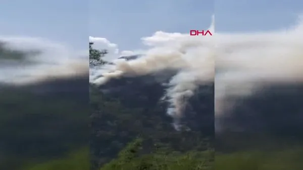 SON DAKİKA: Muğla Köyceğiz'de orman yangını! Olay yerinden ilk görüntüler...