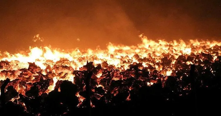 SON DAKİKA HABERİ: Afyonkarahisar'da yangın paniği sürüyor! 80 bin metrekare alan kül oldu