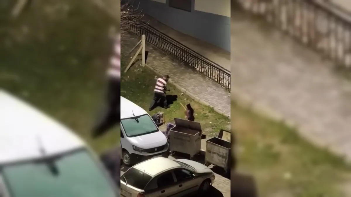 Malatya’da eski eş tehditler savurdu, komşular sopalarla saldırdı! Kavga anbean kameraya yansıdı Malatya’da eski eş tehditler savurdu, komşular sopalarla saldırdı! Kavga anbean kameraya yansıdı