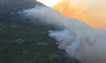 Antalya’nın Kaş ilçesinde orman yangını