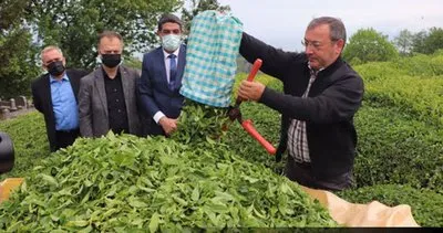 Çaykur sezonu açıyor!