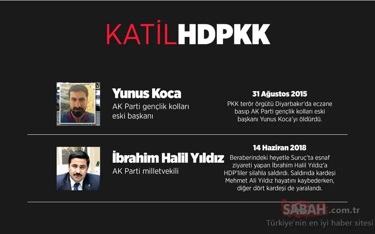 PKK-HDP çetesinin AK Partililere yönelik saldırıları