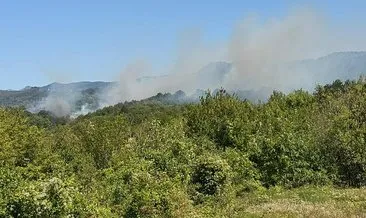 Bartın'da 2 ayrı bölgede orman yangını çıktı #bartin