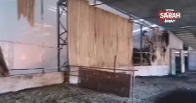Gönen’de büyükbaş hayvan çiftliğinde yangın çıktı | Video