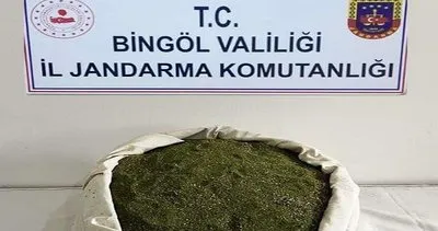 Bingöl’de 21 kilo toz esrar ele geçirildi