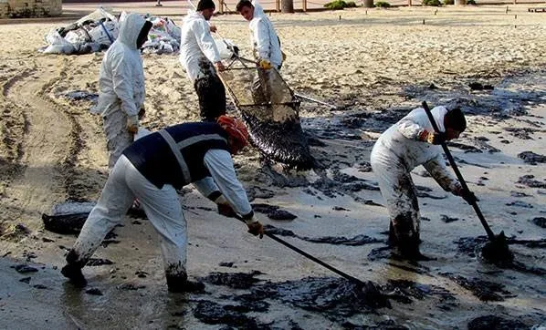 16 bin bilim insanından çevre felaketi uyarısı