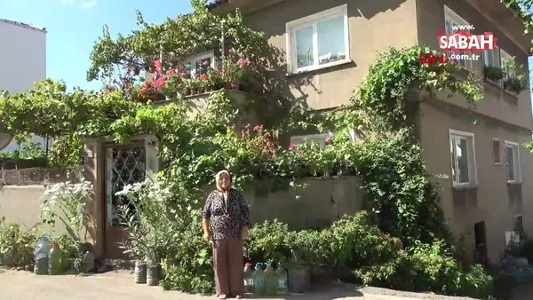 Edirne'de yaşayan Firdevs Güler'in çiçek bahçesi gibi evini görenler hayran kalıyor!