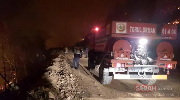 Karadeniz'de 26 noktada orman yangını: 5 ev kül oldu, tarım arazileri zarar gördü