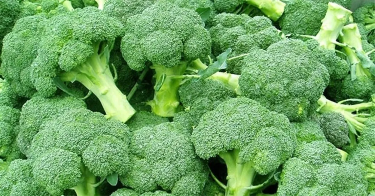 Brokoli Faydaları – Brokolinin Faydaları Nelerdir, Ne İşe Yarar ve Hangi Hastalıklara İyi Gelir? - Sağlık Haberleri