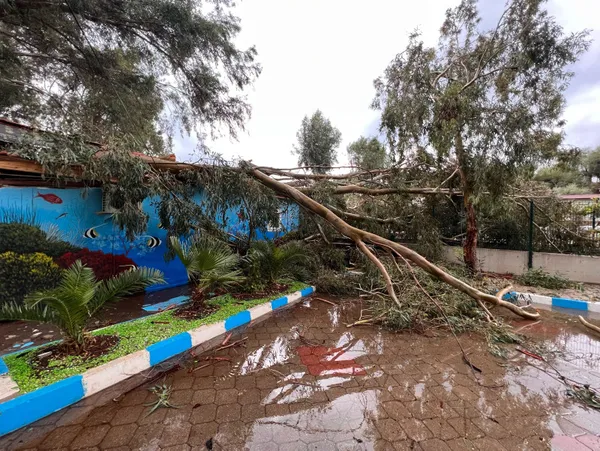 Kaş'ta sel meydana geldi! Caddeler suyla doldu, araçlar trafikte ilerlemekte güçlük çekti - Galeri - Yaşam