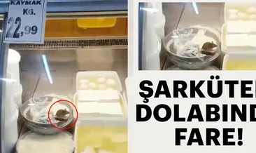 Şarküteri dolabında fare!