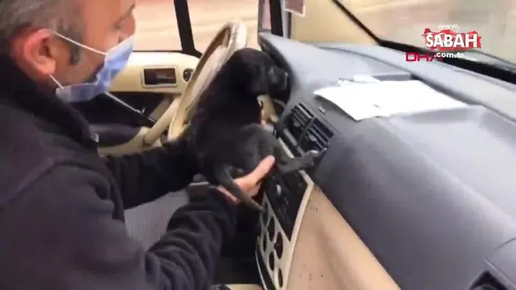 Sakarya'da polisler, üşüyen yavru köpeği ekip aracında böyle ısıttı | Video