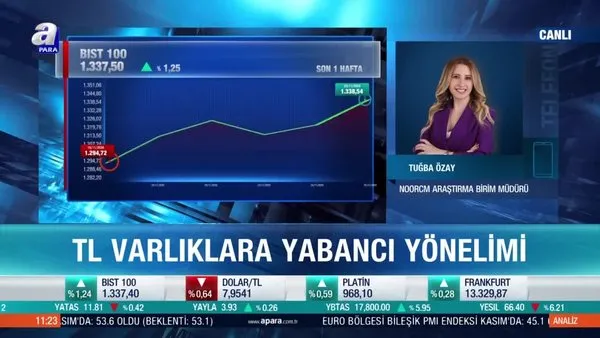 Tuğba Özay: Yabancı payları ile birlikte TL varlıklara ilginin artacağını düşünüyoruz