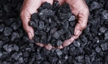 Kömür fiyatları ne kadar? Bir ton kömür fiyatı...