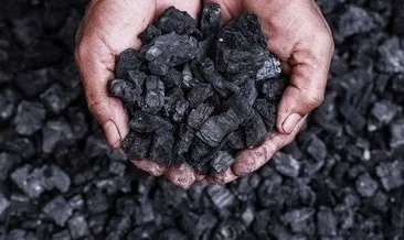 Kömür fiyatları ne kadar? Bir ton kömür fiyatı...