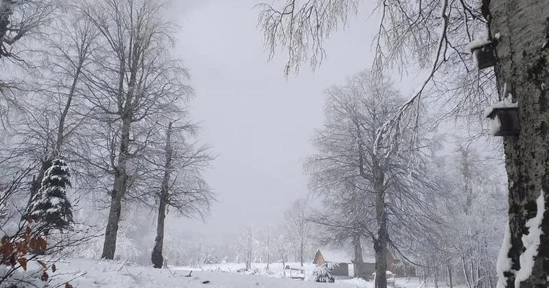 kartepe de kar kalinligi 20 cm e ulasti son dakika haberler