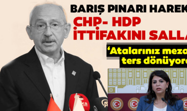 SON DAKİKA! Barış Pınarı Harekatı CHP-HDP ittifakını salladı! HDP’li Sibel Yiğitalp’den Kılıçdaroğlu’na operasyon tepkisi…