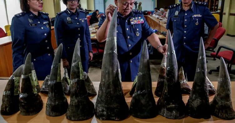 ’Sanat objesi’ dediler gergedan boynuzu çıktı