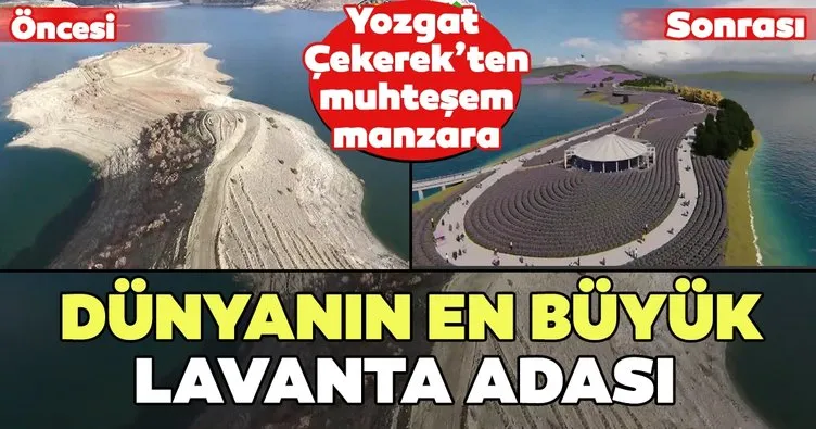 Dünyanın en büyük lavanta adası! Yozgat Çekerek’ten muhteşem manzaralar...
