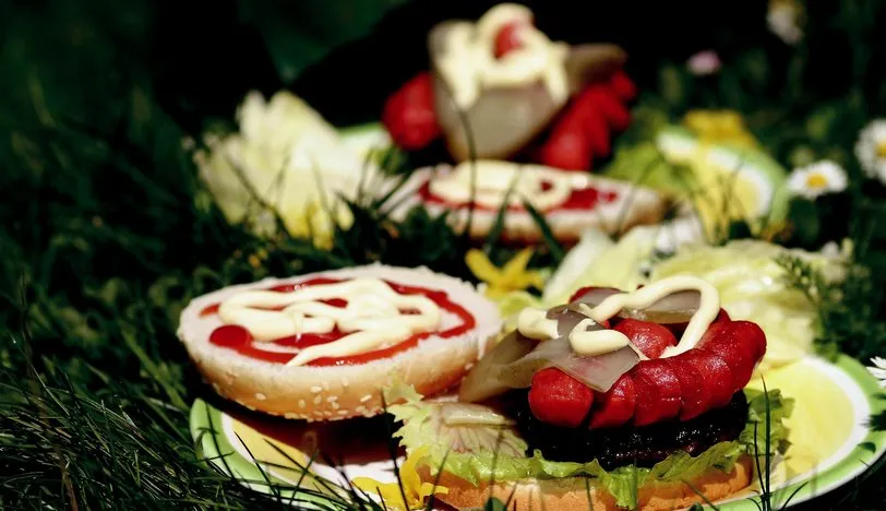 Saniş Burger