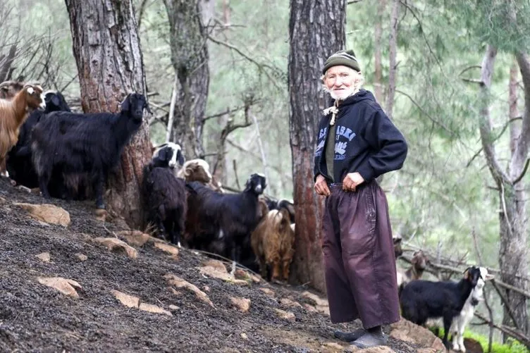 Keçileri çalınınca insanlığa küstü! 17 yıldır dağda yalnız yaşıyor: Keçilerim olmasa 1 saat duramam
