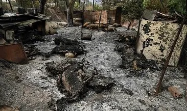 Yunanistan’daki yangınlarla ilgili 140 kişi gözaltına alındı