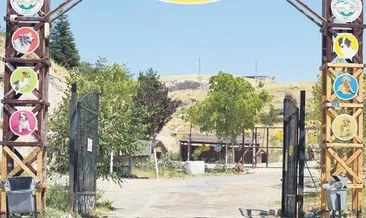 5 yıldızlı köpek oteli