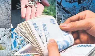 Dön mağdurlarına 46.5 milyar TL destek