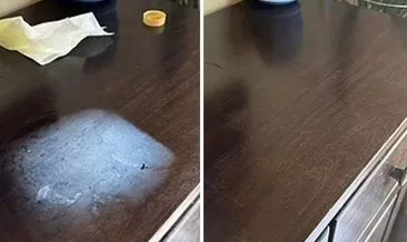 Bu ipucu binlerce beğeni aldı! Ahşaptaki lekeyi tek harekette yok ediyor...