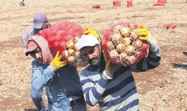 Mevsimlik işçileri devlet taşıyacak