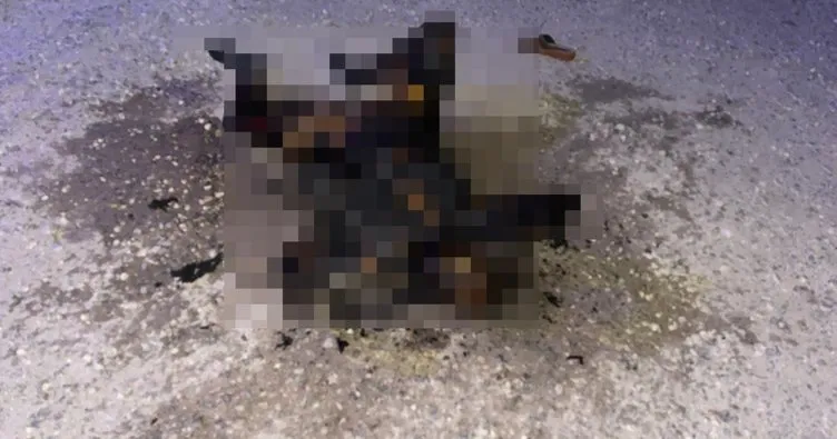 Şanlıurfa'da yanmış kadın cesedi bulundu!