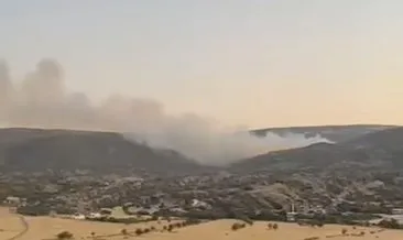 Orman yangını 5 saatte söndürüldü #diyarbakir