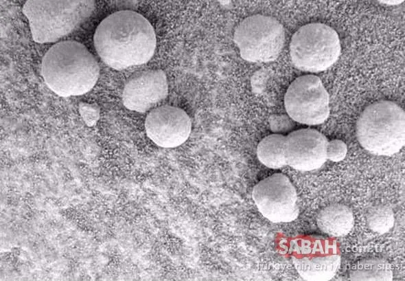 Mars'tan gelen fotoğraflar kan dondurdu! Dünyayı şaşkına çevirdi!