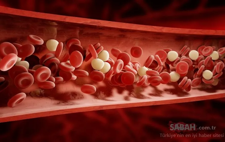 Vücuttaki damarların belirginleşmesinin nedenleri nelerdir?
