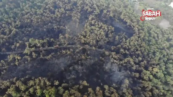 Son dakika: Heybeliada’da yanan ormanlık alanın son durumu görüntülendi | Video