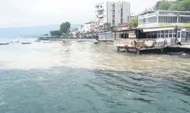 Turistik körfez müsilajla kaplandı