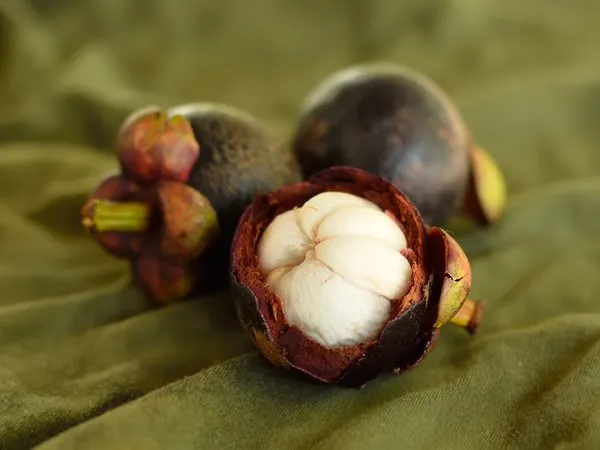 Faydası saymakla bitmeyen Mangosteen!